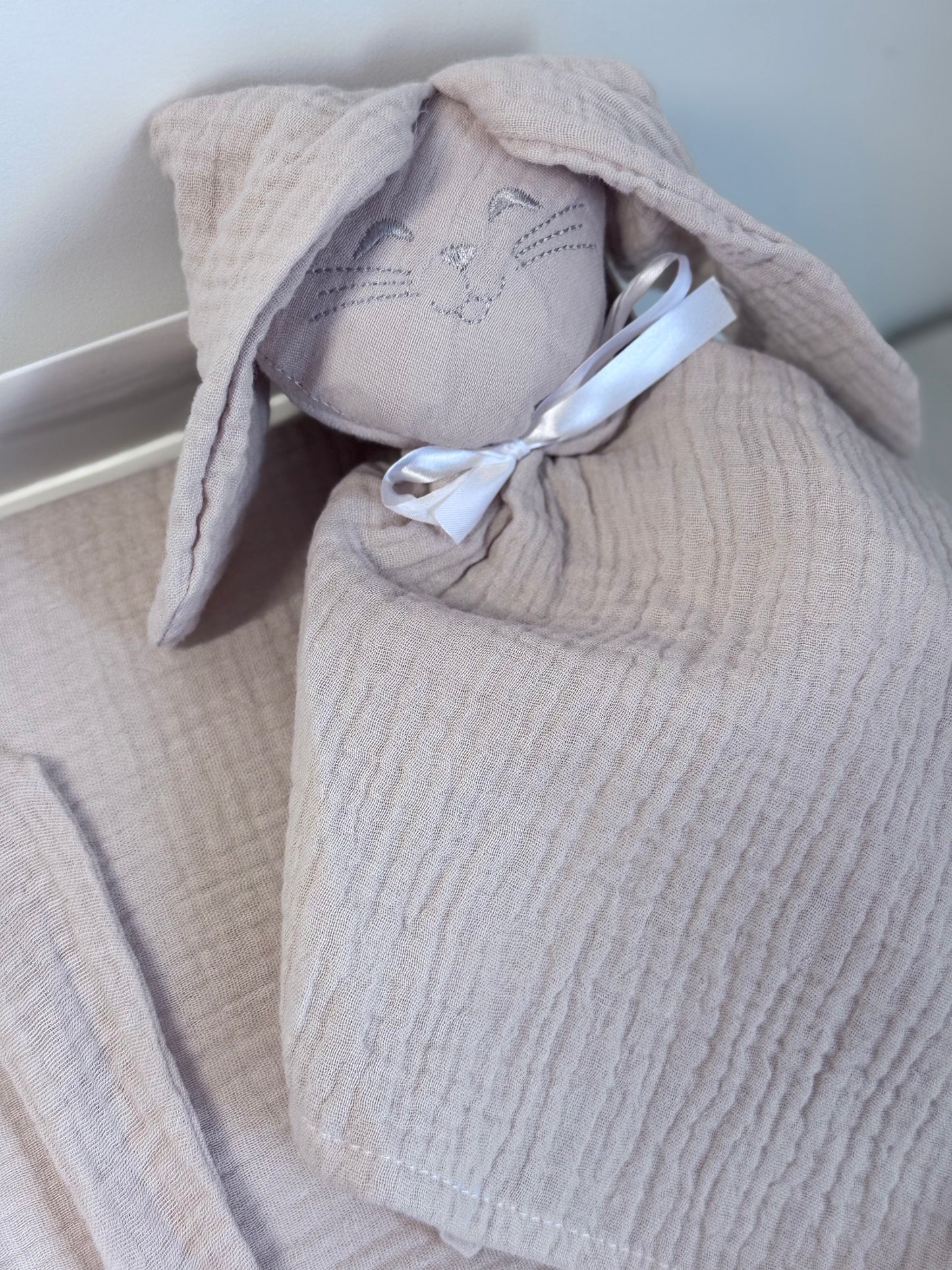 Coffret Carnet de Santé + Attache Tétine + Doudou lapin