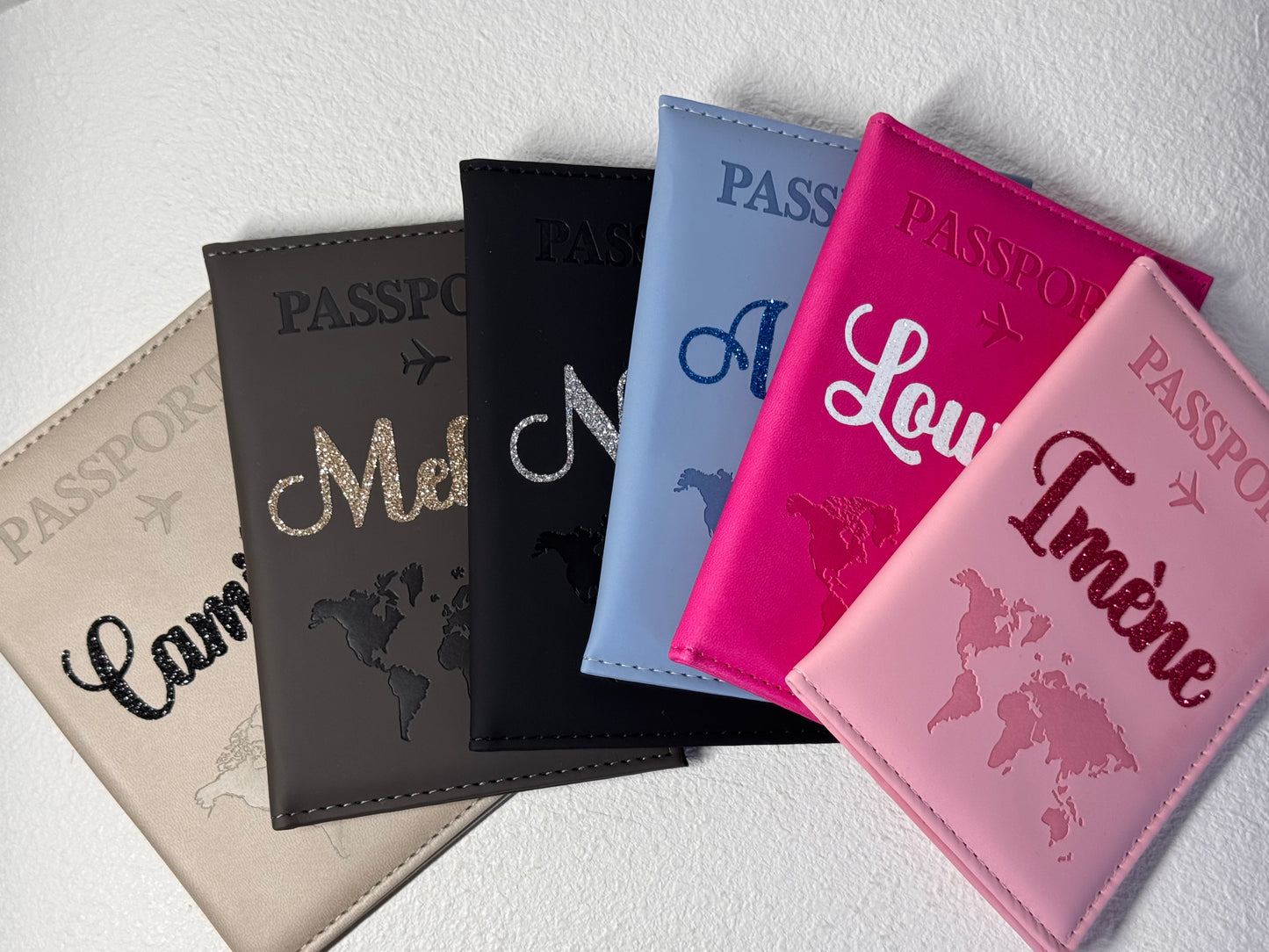 Protège Passeport