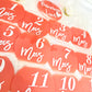 Plexi souvenirs première année