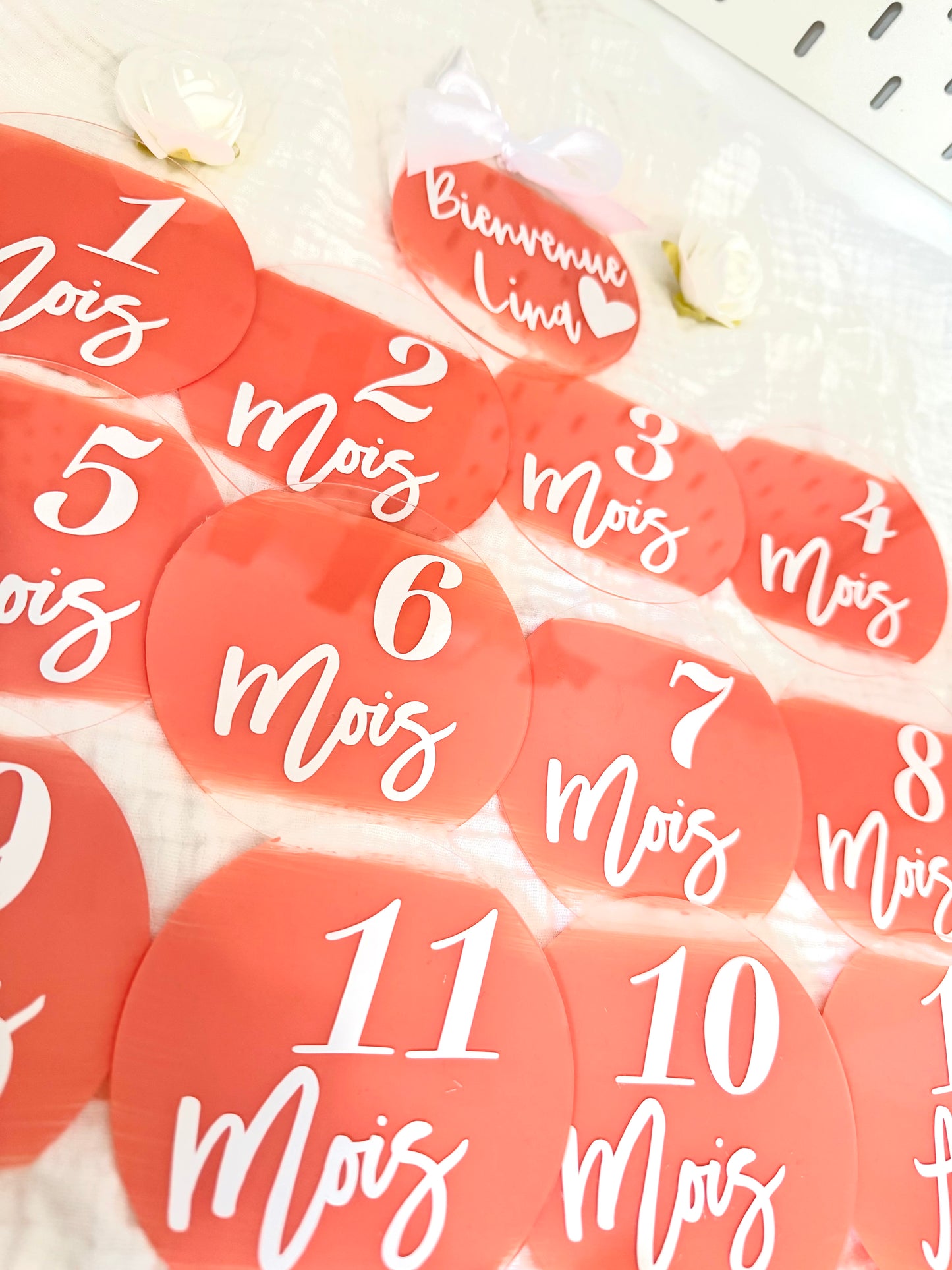 Plexi souvenirs première année