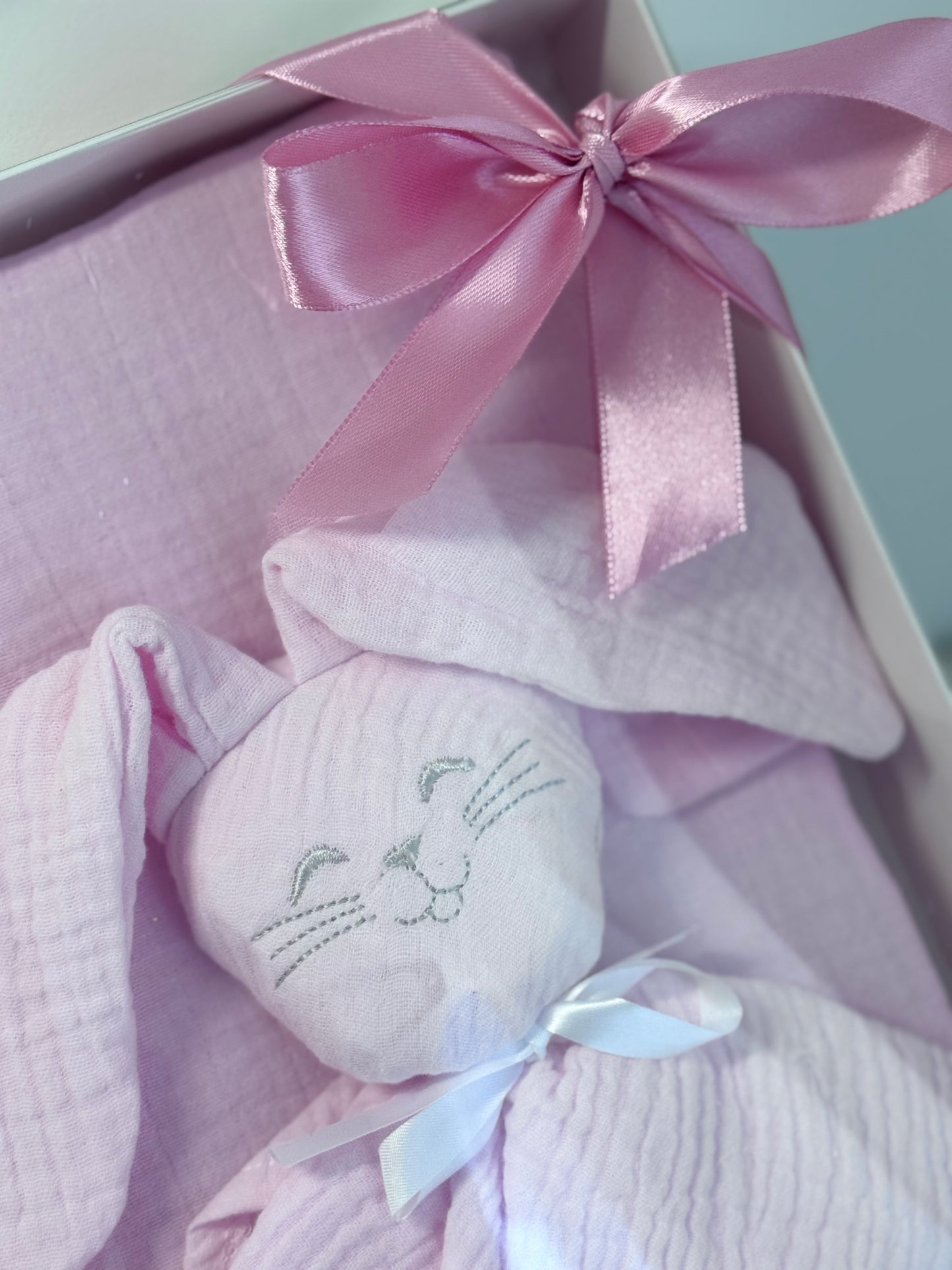 Coffret Protège Carnet de Santé + Doudou lapin