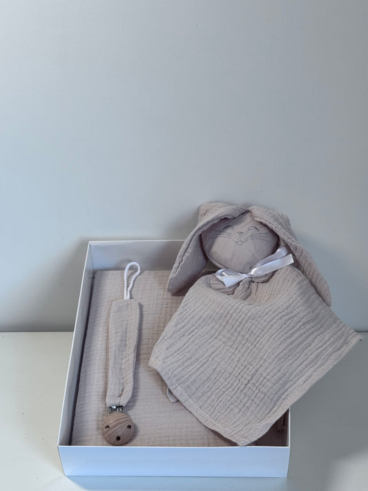 Coffret Carnet de Santé + Attache Tétine + Doudou lapin