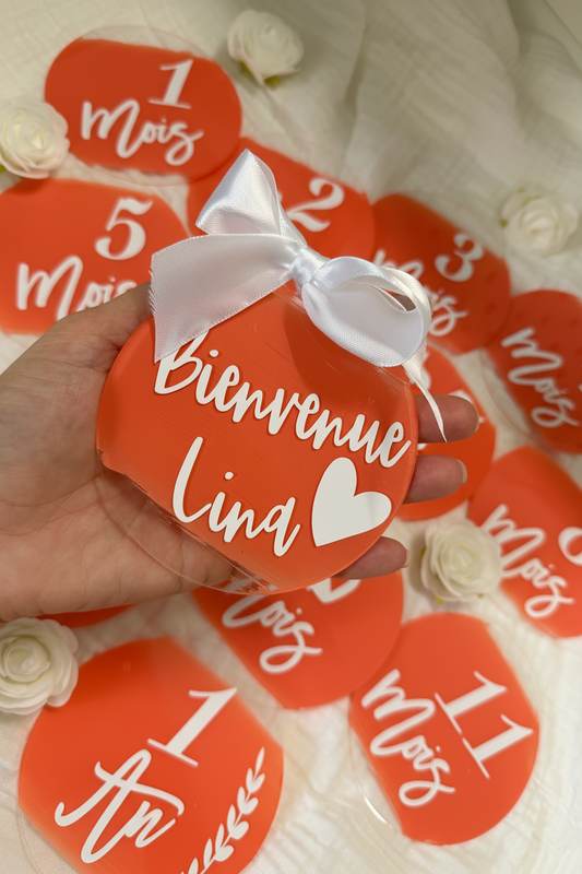 Plexi souvenirs première année