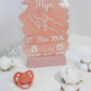 Panneau de naissance personnalisé